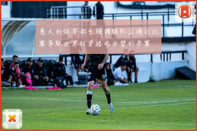 意大利体育部长强调球队应通过比赛争取世界杯资格而非替补参赛