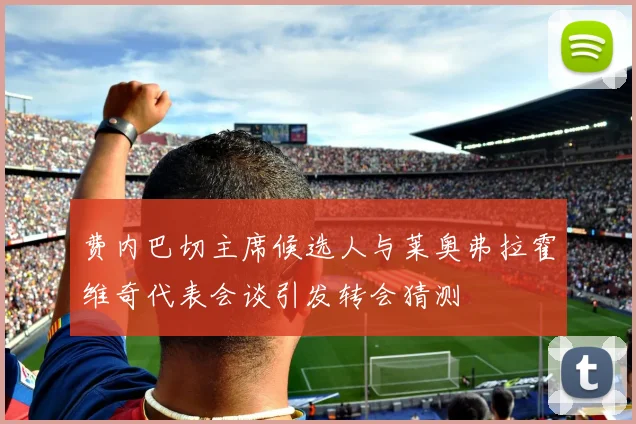 费内巴切主席候选人与莱奥弗拉霍维奇代表会谈引发转会猜测