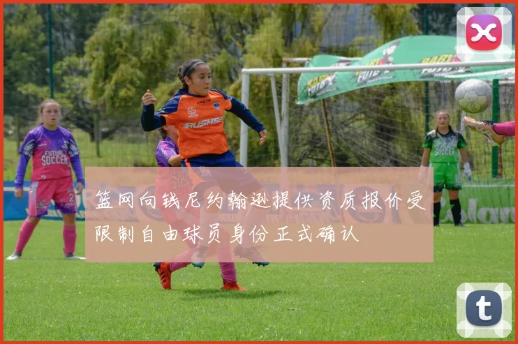 篮网向钱尼约翰逊提供资质报价受限制自由球员身份正式确认